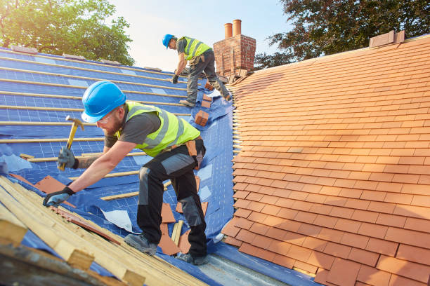 Best Roof Leak Repair  in Belvidere, IL